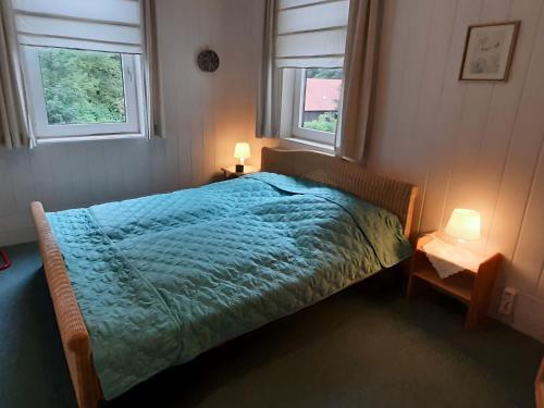 a bedroom with a bed with a blue comforter and two windows at Holiday apartment veranda in the heart of the Harz in Wildemann