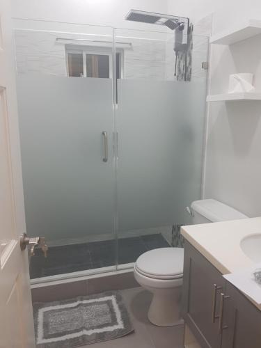 a bathroom with a shower and a toilet and a sink at Grey Stone Villa 2 in Happy Hill