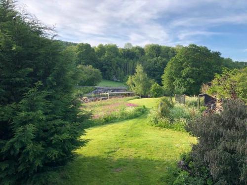 a garden with green grass and trees and a fence at The Carthouse (Luxury 2 bed with private hot tub) in Newburgh