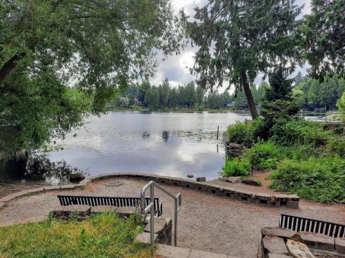 een uitzicht op een meer met banken en bomen bij Super Privacy Lakeshore Forest Home with Air Conditioners at Haller Lake in Seattle