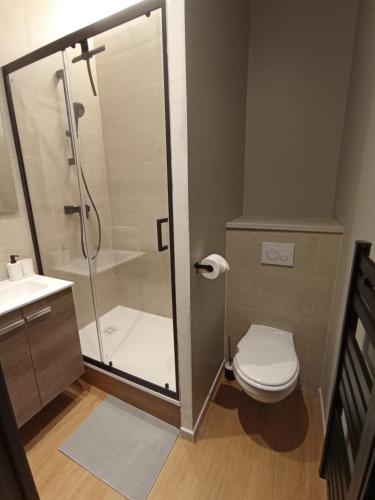 La salle de bains est pourvue d'une douche, de toilettes et d'un lavabo. dans l'établissement Le 12 studio neuf wifi app 11, à Saint-Étienne