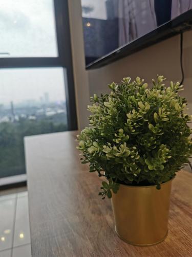 a potted plant sitting on top of a table at Icon Residenz Icon City, Petaling Jaya by De Harlequins Guesthouse in Petaling Jaya