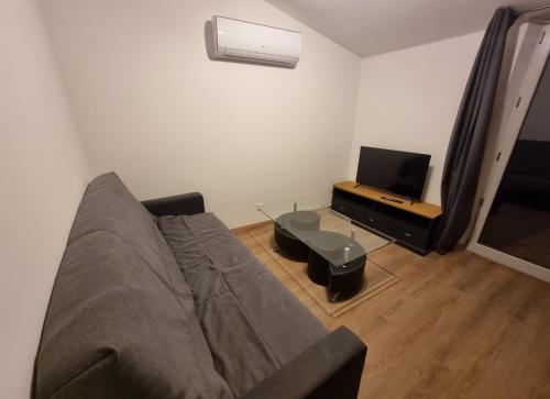 een woonkamer met een bank en een tv bij Maison 700m du centre-ville in Auxerre