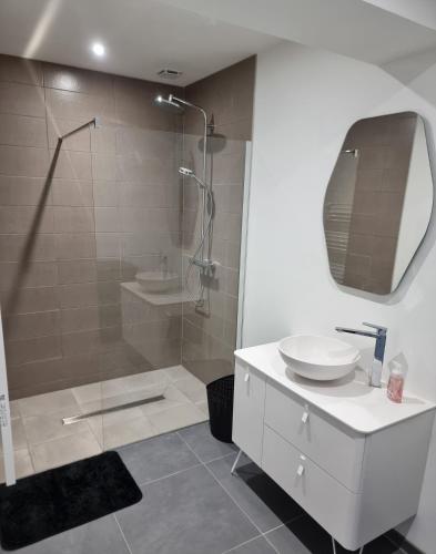 une salle de bain avec une douche, un lavabo et un miroir dans l'établissement Maison 700m du centre-ville, à Auxerre