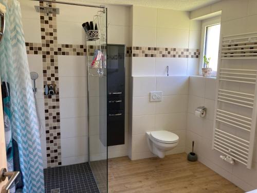Ένα μπάνιο στο Ferienwohnung Zur Geigenbachtalsperre