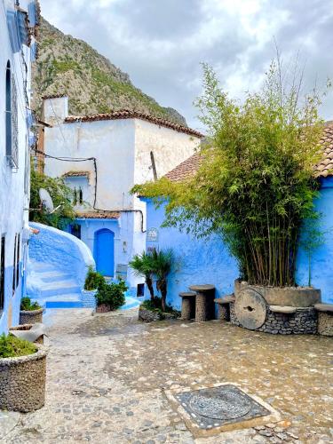 a building with blue walls and plants in a courtyard at Oldtown House in Chefchaouene