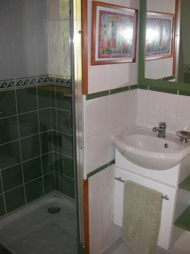 une salle de bain avec un lavabo et une douche dans l'établissement Gîte Marzan, à Marzan