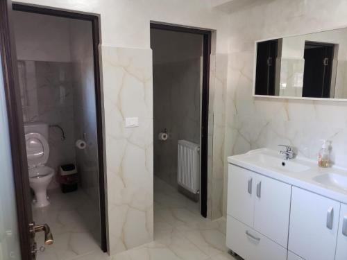 La salle de bains est pourvue d'un lavabo, de toilettes et d'une douche. dans l'établissement Casa Nicoleta, à Gura Humorului