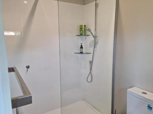 a bathroom with a shower with a glass door at Guest House on Sapphire in Wanaka