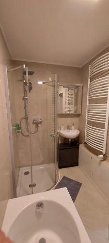 a bathroom with a shower and a sink at Apartment Popp Heilbronn in Heilbronn