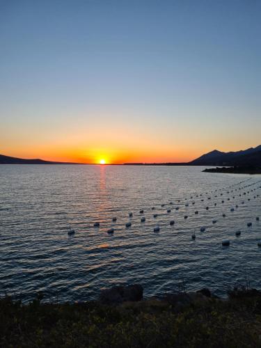 Φωτογραφία από το άλμπουμ του Hotel riviera σε Debeljak