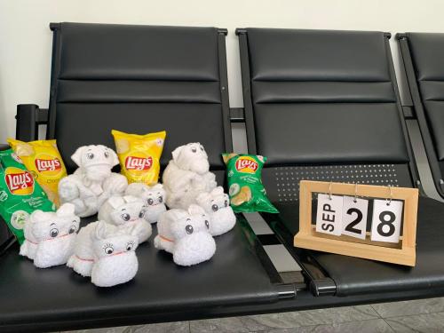 a group of stuffed teddy bears sitting on chairs with a clock at MAMORI HOTEL in Allen