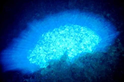 a blue ball of light in the middle of the ocean at Sol & Lar No stress in Santa Maria