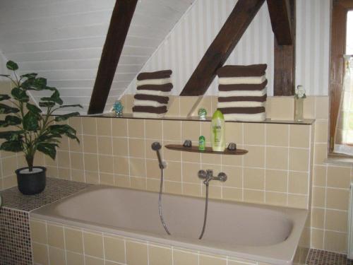 a bath tub in a bathroom with towels and a plant at Landidyll in Großdubrau