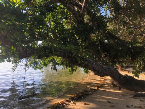 Gallery image of Aurora Lodge in Ile aux Nattes
