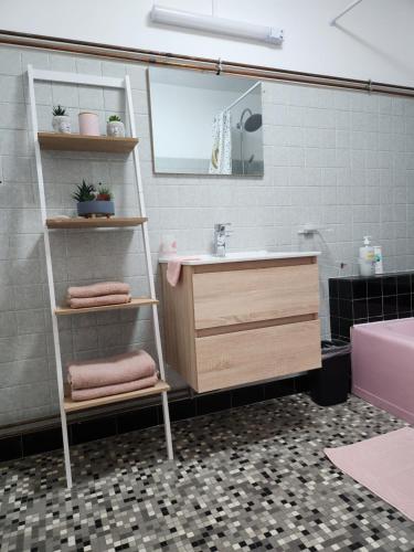 a bathroom with a sink and a shelf at Le p'tit gîte d'Edmé in Montbard