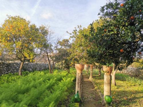 Jardín al aire libre en Dimora Margherita in Salento