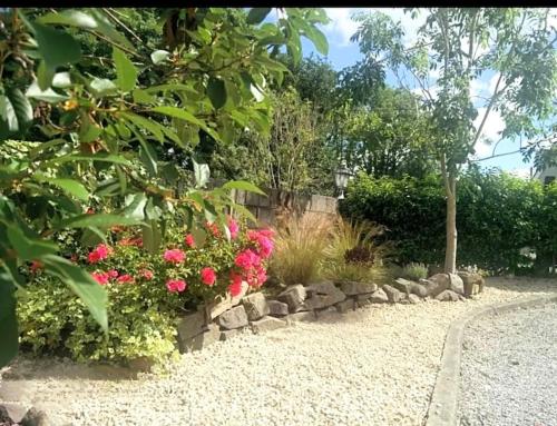 a garden with pink flowers and a stone wall at Foxhollow House in Blarney