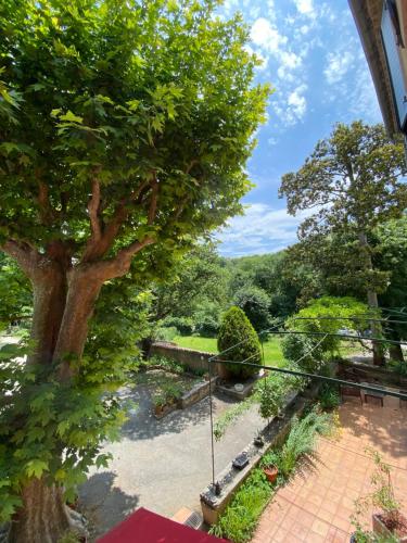 vistas al jardín desde el balcón de una casa en chambre privée chez l'habitant, en Carpentras