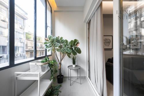 Bonsai Apartments, The Luxury Suites