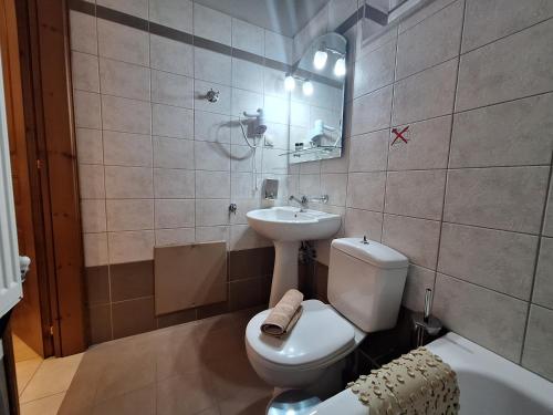 a bathroom with a toilet and a sink at Skourgias Rooms in Kala Nera
