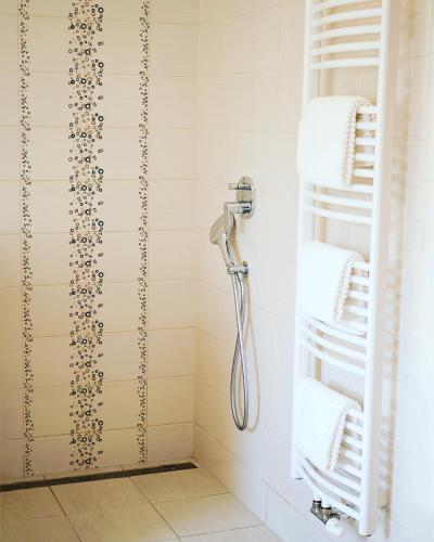 eine Dusche mit Duschkopf in einem Badezimmer in der Unterkunft Csárdás Salaš in Dobrovnik