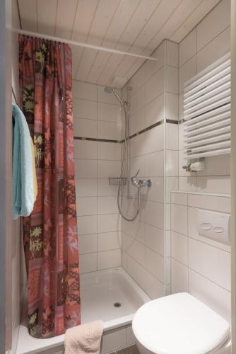 a bathroom with a shower and a toilet and a sink at Hotel Bel-Air Eden in Grindelwald