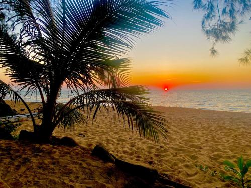 a palm tree on a beach with a sunset at Robinson Bungalows in Koh Rong Sanloem