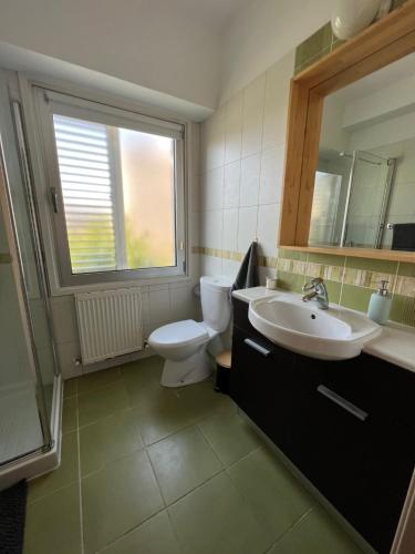 StrovolosにあるDaniela's modern apartmentのバスルーム(トイレ、洗面台、鏡付)