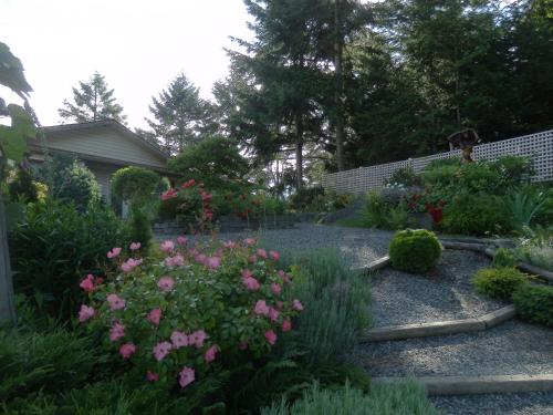 a garden with pink flowers in a yard at Armand Heights in Ganges