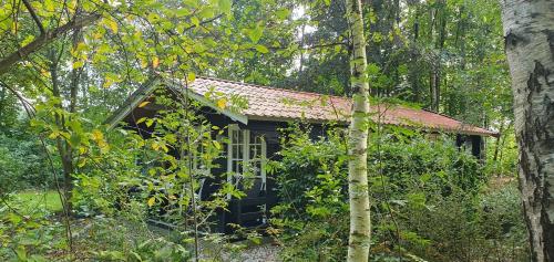Noord-SleenにあるZizaniaの森の中の小屋