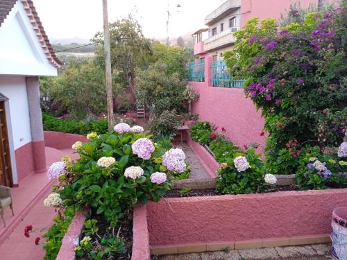 a garden with pink and white flowers on a building at Mar de flores in Vega de San Mateo