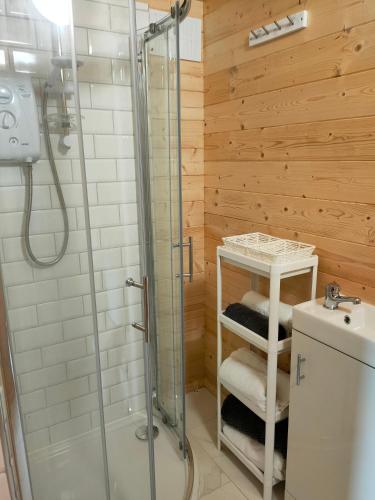 a bathroom with a shower and a toilet and a sink at ANNES LOG CABIN in Nobber