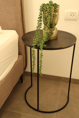 a table with a plant on it next to a bed at חדרי בוטיק B.Y in Bet Sheʼan
