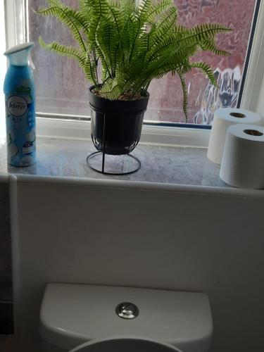 a plant sitting on a window sill next to a toilet at Our Guests in Rushden