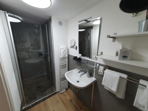 W łazience znajduje się umywalka i prysznic. w obiekcie Brauner Hirsch w mieście Hannoversch Münden