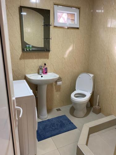 a bathroom with a toilet and a sink and a mirror at Wooden Cottages - Mtskheta in Mtskheta