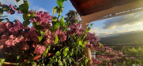 a bunch of pink flowers on a balcony at Quinta Inge in Paio Mendes