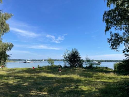 a group of people sitting on the grass near a lake at My Marina Apartment mit Pool und Sauna am See in Bad Saarow