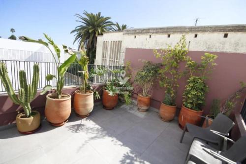 Ein Haufen Pflanzen in Töpfen auf einem Balkon in der Unterkunft Superbe appartement avec terrasse in Casablanca