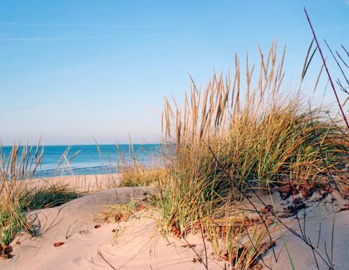 a sandy beach with tall grass and the ocean at Modern New Build 2BR 2BA Condo w Garage and Patio in Wyoming