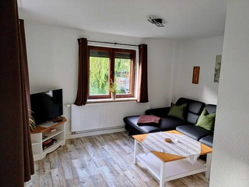 ein Wohnzimmer mit einem Sofa und einem TV in der Unterkunft Große Ferienwohnungen 5 - 8 "Pumphut's Scheune" in Lengenfeld