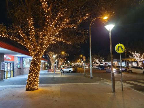 a tree decorated with christmas lights on a city street at Sunbury Central in Sunbury