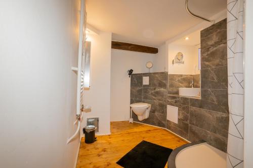 a bathroom with a shower and a toilet and a sink at Ferienhaus Schneifel in Auw