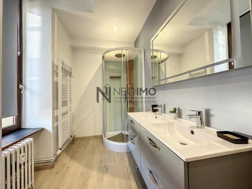 une salle de bain avec un lavabo et une douche dans l'établissement lac et montagne Gerardmer, à Gérardmer