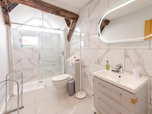 a bathroom with a shower and a toilet and a sink at Pass the Keys 5C Charming Town Centre Apartment With Roof Top Views in Shrewsbury