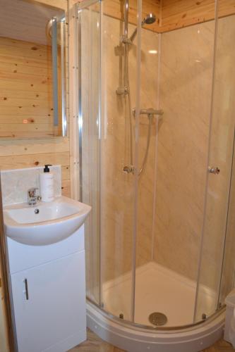 ein Bad mit einer Dusche und einem Waschbecken in der Unterkunft The Hive at Ashes Farm in Settle
