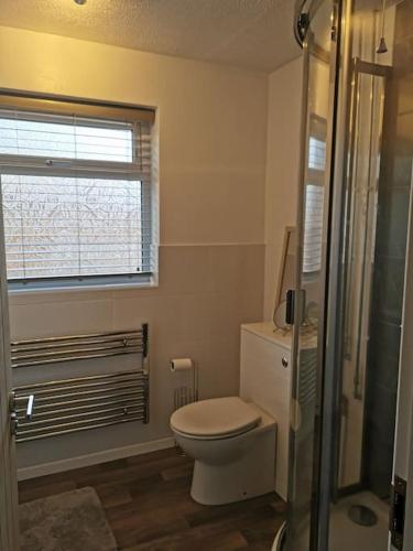 a bathroom with a toilet and a window and a shower at The Annexe in Swanton Morley. in Swanton Morley