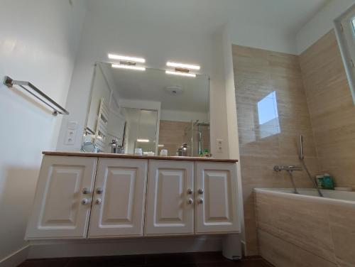 La salle de bains est pourvue d'un lavabo et d'un grand miroir. dans l'établissement Grand appartement Athis Mons proche Paris, à Athis-Mons