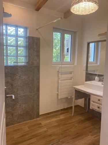 une salle de bain avec une douche, un lavabo et un miroir dans l'établissement Petite maison avec terrasse., à Ajaccio